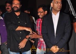 Balupu Audio Launch Photo Gallery photo 82