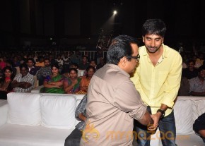 Balupu Audio Launch Photo Gallery photo 33