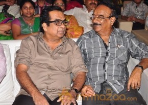Balupu Audio Launch Photo Gallery photo 22