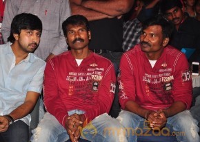 Balupu Audio Launch Photo Gallery photo 34
