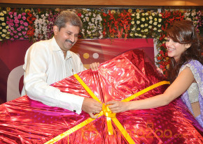 Balupu Movie Trailer Launch Photo Gallery  photo 46