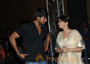 Bangaru Kodipetta Audio Launch Photos photo 94