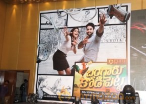 Bangaru Kodipetta Audio Launch Photos photo 35