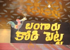 Bangaru Kodipetta Audio Launch Photos photo 75