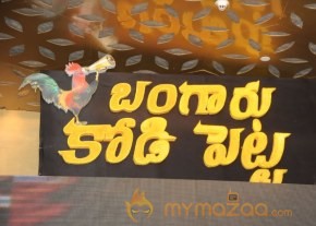 Bangaru Kodipetta Audio Launch Photos photo 82