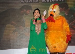 Bangaru Kodipetta Audio Launch Photos photo 19