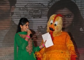 Bangaru Kodipetta Audio Launch Photos photo 53