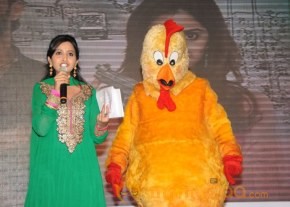 Bangaru Kodipetta Audio Launch Photos photo 29