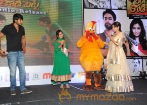 Bangaru Kodipetta Audio Launch Photos photo 95