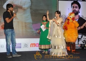 Bangaru Kodipetta Audio Launch Photos photo 14