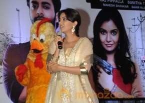 Bangaru Kodipetta Audio Launch Photos photo 84