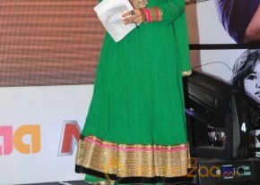 Bangaru Kodipetta Audio Launch Photos photo 64