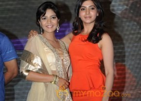 Bangaru Kodipetta Audio Launch Photos photo 61