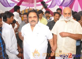 Bellamkonda Suresh Son New Movie Launch  photo 44