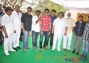 Bellamkonda Suresh Son New Movie Launch  photo 19