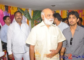 Bellamkonda Suresh Son New Movie Launch  photo 62