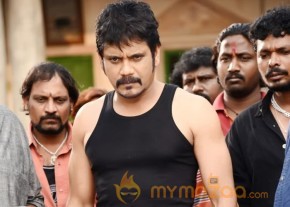 Bhai Movie Photos photo 3