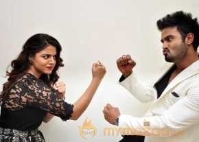 Bhale Manchi Roju Movie Audio Launch photo 4