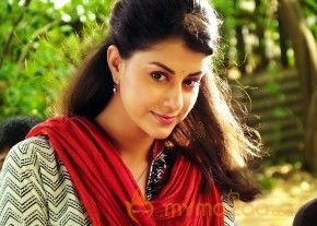 Billa Ranga Movie Latest Photos photo 8