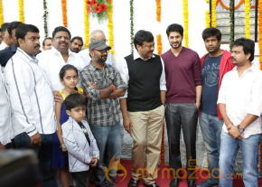 Biscuit Movie Launch  photo 36