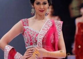 BlenderPride Hyd International Fashion Week 2012 Photos photo 8