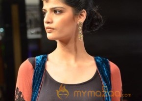 BlenderPride Hyd International Fashion Week 2012 Photos photo 29