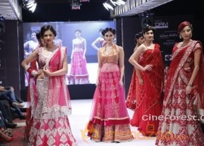BlenderPride Hyd International Fashion Week 2012 Photos photo 15