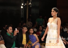 BlenderPride Hyd International Fashion Week 2012 Photos photo 20