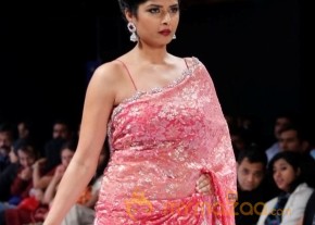 BlenderPride Hyd International Fashion Week 2012 Photos