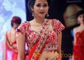 BlenderPride Hyd International Fashion Week 2012 Photos photo 16