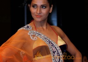 Blenders Pride Fashion Week 2012 2nd Day Photo Gallery photo 27