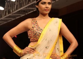 Blenders Pride Fashion Week 2012 2nd Day Photo Gallery photo 19
