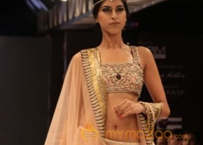 Blenders Pride Fashion Week 2012 2nd Day Photo Gallery photo 28