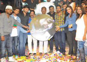 Break Up Movie Audio Launch Gallery  photo 3