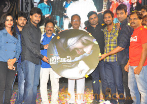 Break Up Movie Audio Launch Gallery  photo 18