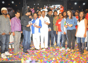 Break Up Movie Audio Launch Gallery  photo 6