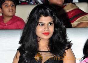 Bruce Lee Movie Audio Launch photo 18