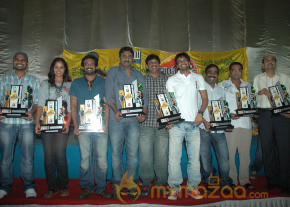 'Bumper Offer' Triple Platinum Disc Function  photo 12