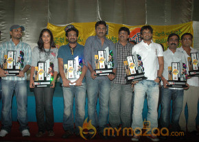 'Bumper Offer' Triple Platinum Disc Function  photo 15