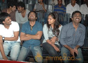 'Bumper Offer' Triple Platinum Disc Function  photo 17