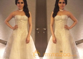 Celebrities at SIIMA 2016 Awards in Singapore