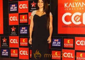 Celebrity Cricket League 3 Curtain Raiser Event Gallery  photo 70