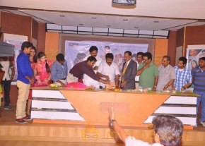 Celebrity Telugu Movie Audio Launch Gallery photo 10