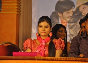 Celebrity Telugu Movie Audio Launch Gallery photo 12