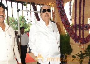 Celebs At Bala Krishna Daughter Marriage Photos photo 11
