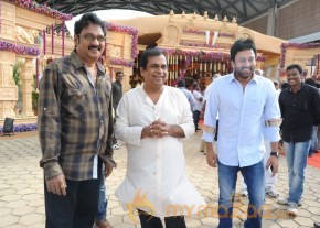 Celebs At Bala Krishna Daughter Marriage Photos photo 43