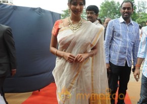 Celebs At Bala Krishna Daughter Marriage Photos photo 157