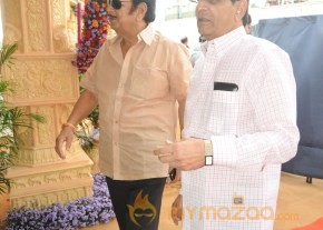 Celebs At Bala Krishna Daughter Marriage Photos photo 20