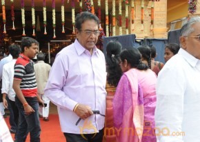 Celebs At Bala Krishna Daughter Marriage Photos photo 126