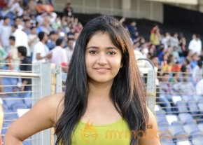 Celebs At Telugu Warriors Vs Bhojpuri Dabanggs CCL 3 Match   photo 40